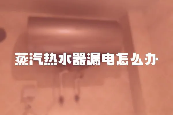 蒸汽熱水器漏電怎么辦