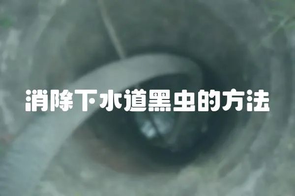 消除下水道黑蟲的方法
