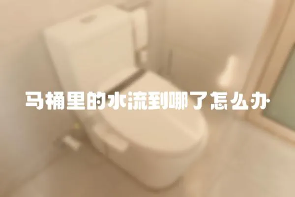 馬桶里的水流到哪了怎么辦