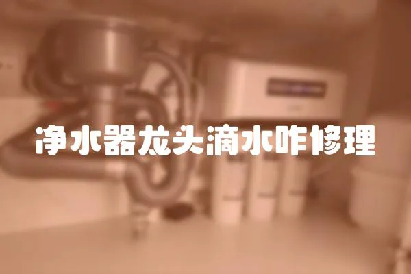 凈水器龍頭滴水咋修理