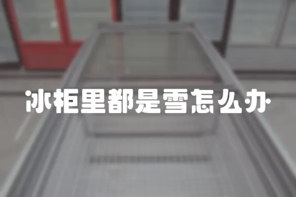 冰柜里都是雪怎么辦