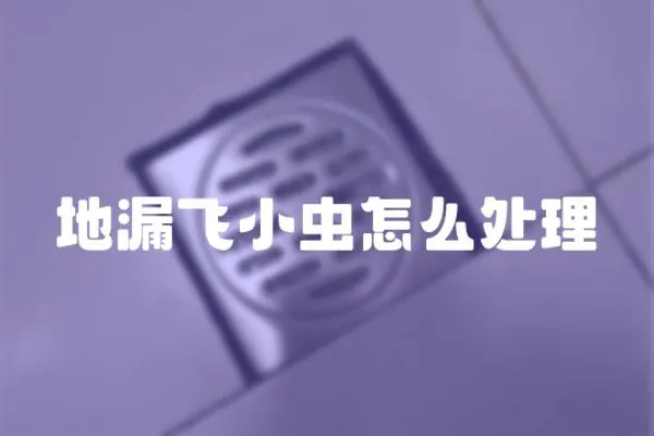 地漏飛小蟲怎么處理