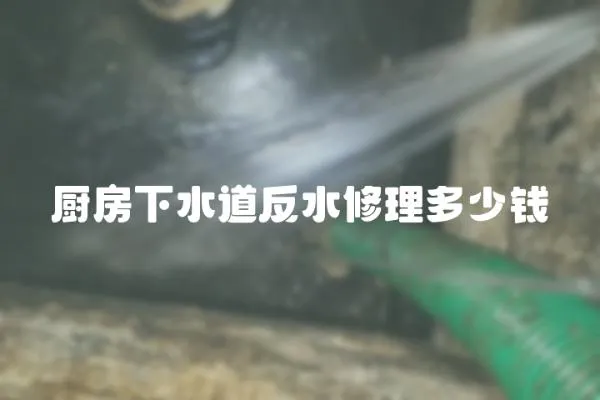 廚房下水道反水修理多少錢