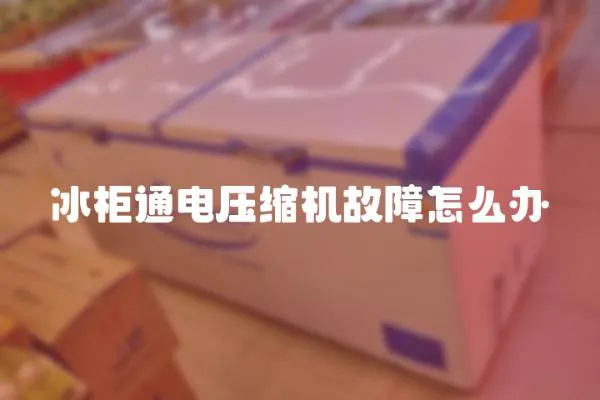 冰柜通電壓縮機(jī)故障怎么辦