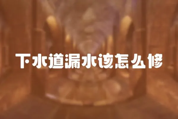 下水道漏水該怎么修