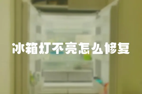 冰箱燈不亮怎么修復