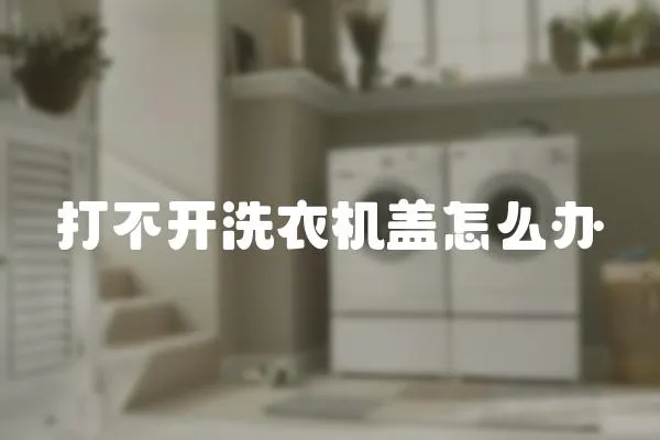 打不開洗衣機蓋怎么辦