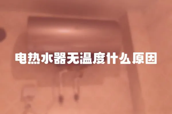 電熱水器無溫度什么原因