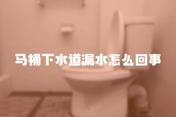 馬桶下水道漏水怎么回事