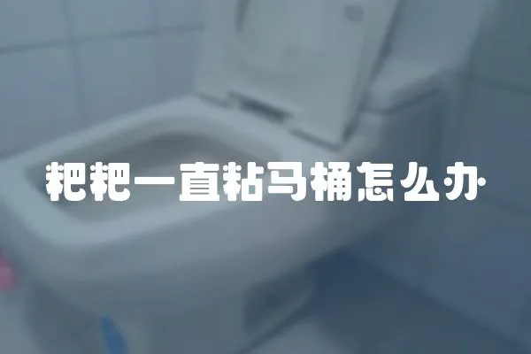 粑粑一直粘馬桶怎么辦