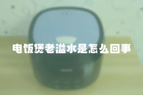 電飯煲老溢水是怎么回事