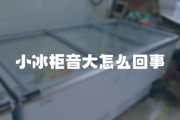 小冰柜音大怎么回事