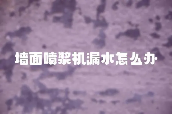 墻面噴漿機漏水怎么辦