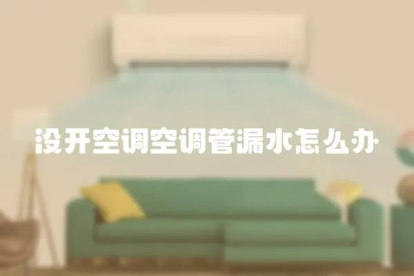 沒開空調空調管漏水怎么辦