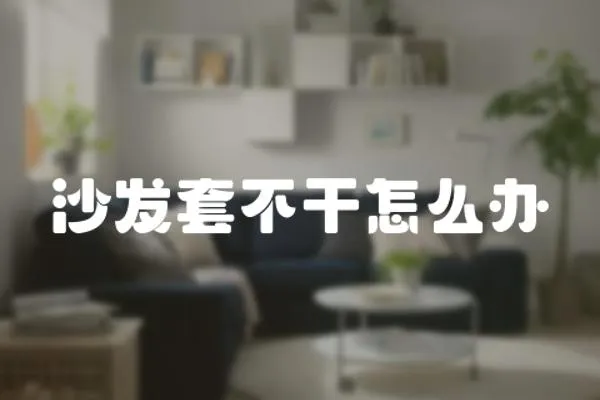 沙發(fā)套不干怎么辦