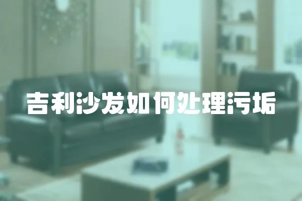 吉利沙發如何處理污垢