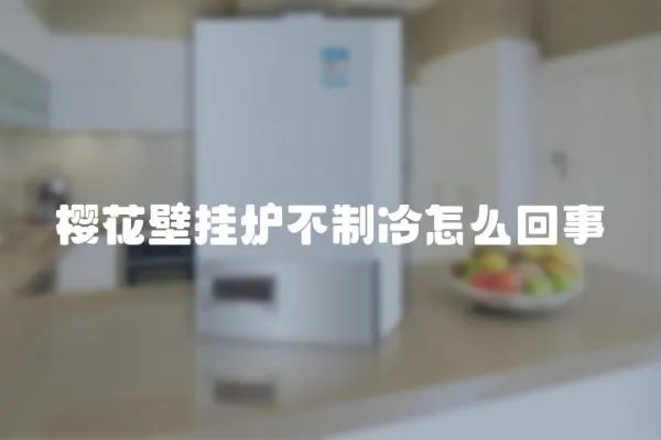櫻花壁掛爐不制冷怎么回事