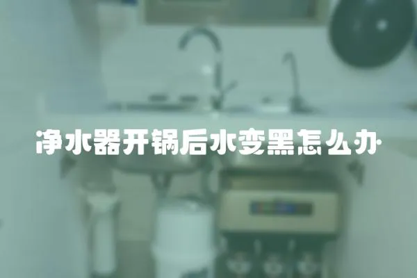 凈水器開鍋后水變黑怎么辦