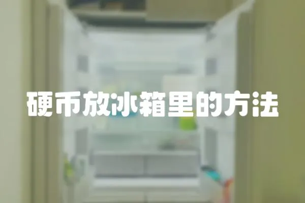 硬幣放冰箱里的方法