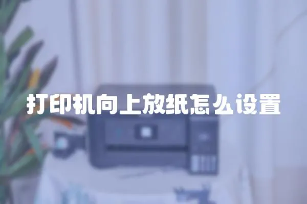 打印機(jī)向上放紙?jiān)趺丛O(shè)置