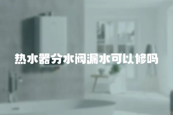 熱水器分水閥漏水可以修嗎