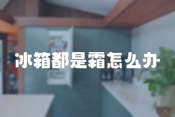 冰箱都是霜怎么辦