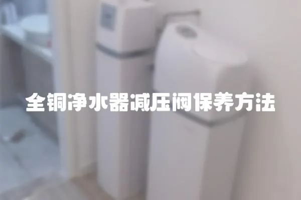 全銅凈水器減壓閥保養(yǎng)方法