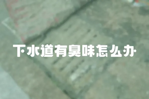 下水道有臭味怎么辦