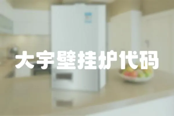 大宇壁掛爐代碼
