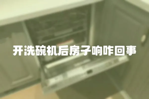 開洗碗機后房子響咋回事