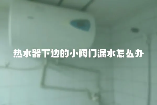 熱水器下邊的小閥門漏水怎么辦