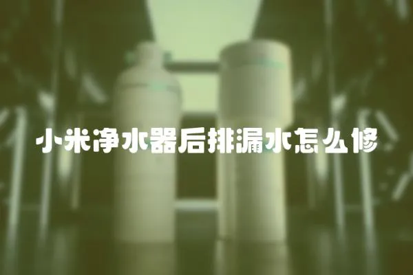 小米凈水器后排漏水怎么修