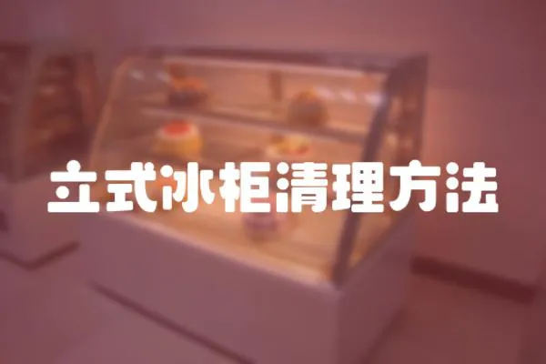 立式冰柜清理方法