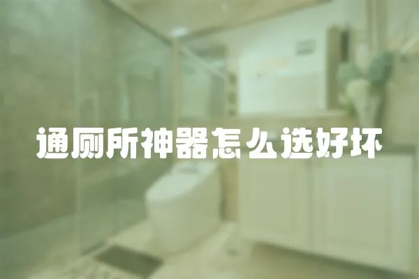通廁所神器怎么選好壞