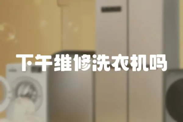 下午維修洗衣機(jī)嗎