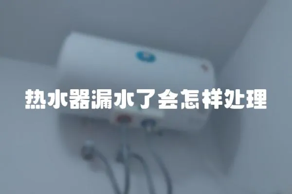 熱水器漏水了會怎樣處理
