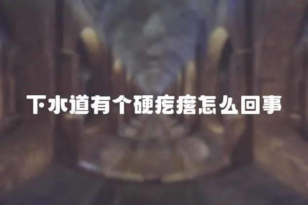 下水道有個(gè)硬疙瘩怎么回事