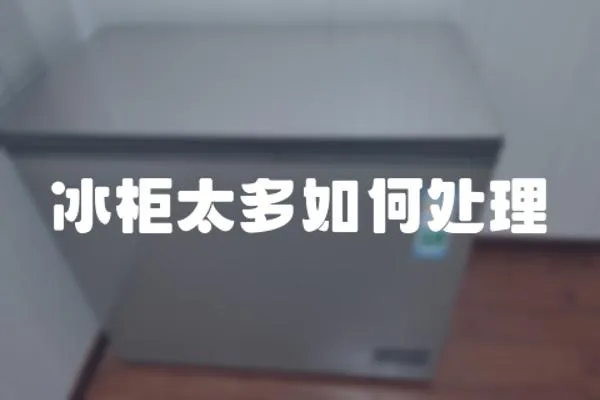冰柜太多如何處理