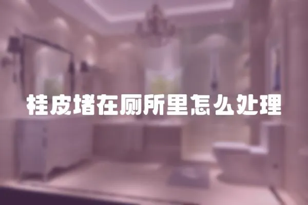 桂皮堵在廁所里怎么處理