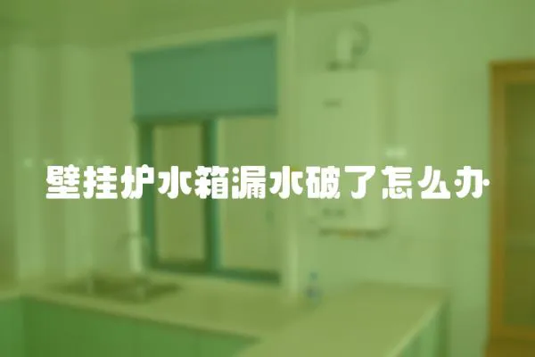 壁掛爐水箱漏水破了怎么辦