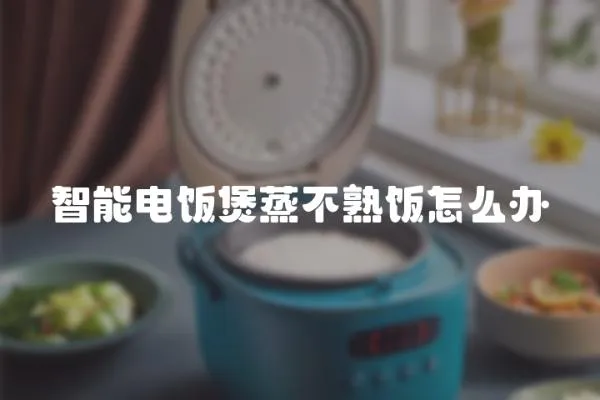 智能電飯煲蒸不熟飯怎么辦