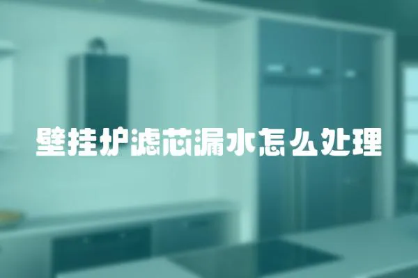 壁掛爐濾芯漏水怎么處理