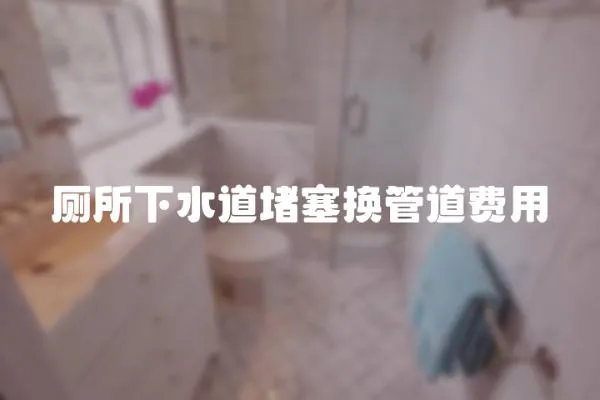 廁所下水道堵塞換管道費用
