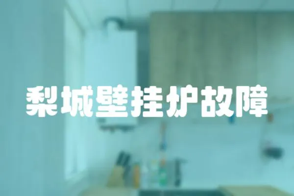 梨城壁掛爐故障