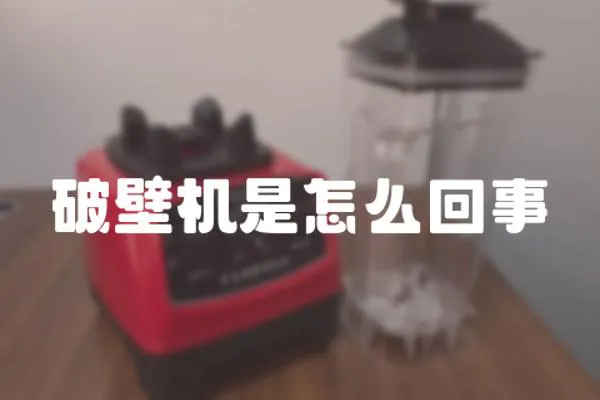 破壁機是怎么回事