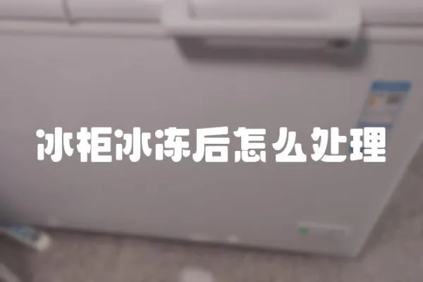 冰柜冰凍后怎么處理