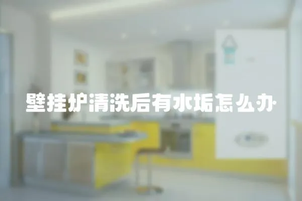 壁掛爐清洗后有水垢怎么辦