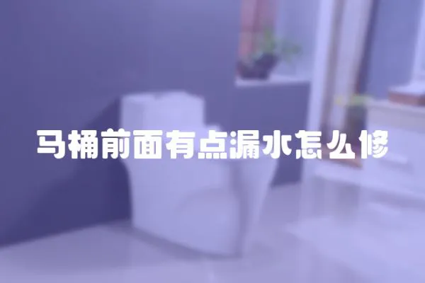 馬桶前面有點漏水怎么修