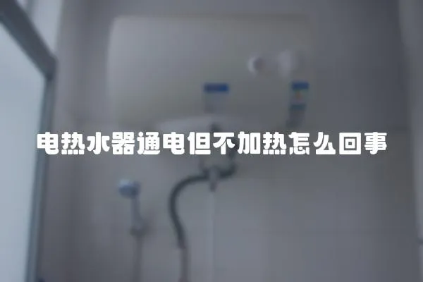 電熱水器通電但不加熱怎么回事
