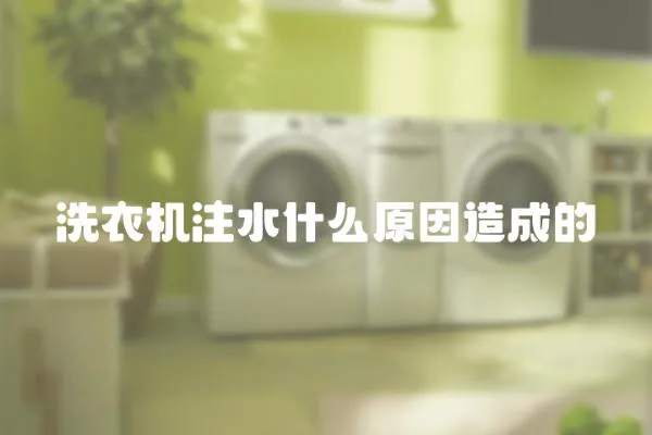洗衣機(jī)注水什么原因造成的